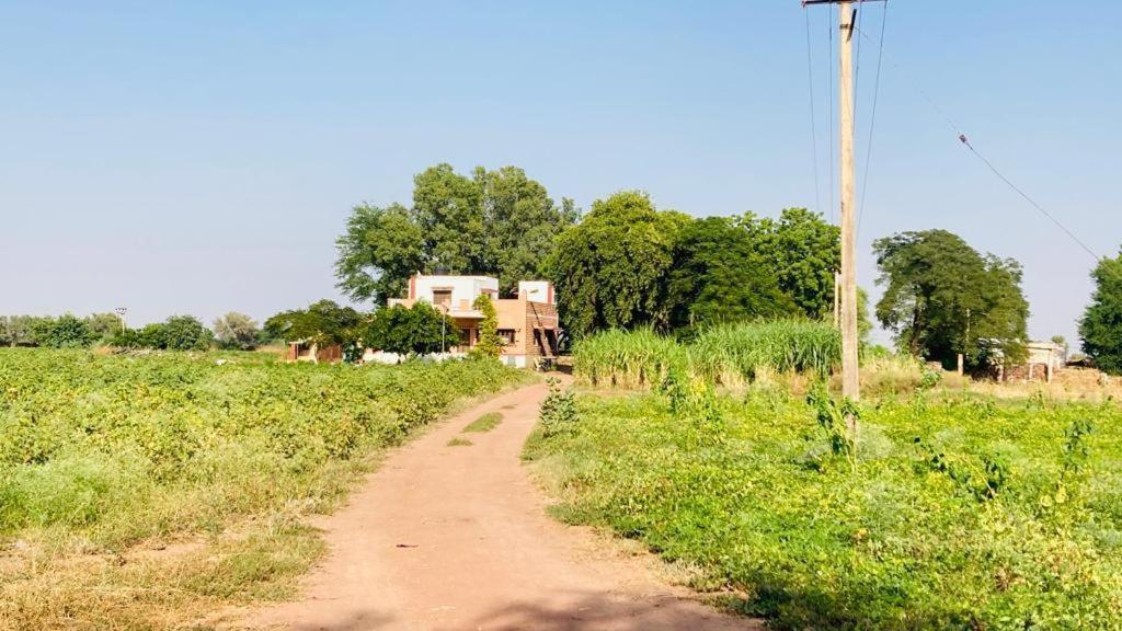 Ananya Farms Paradise Jodhpur  Ngoại thất bức ảnh