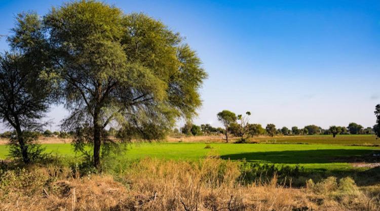 Ananya Farms Paradise Jodhpur  Ngoại thất bức ảnh